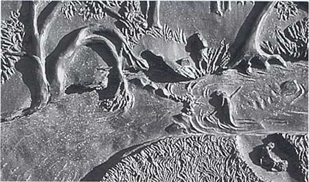 bronzedetail 2