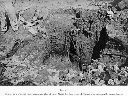 Excavations of the Boylston Street Fishweir