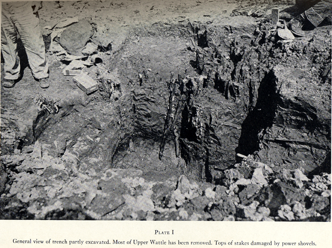 Excavations of the Boylston Street Fishweir