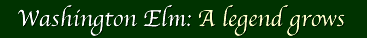washington title L2